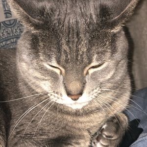 Meet your Posher, Miha